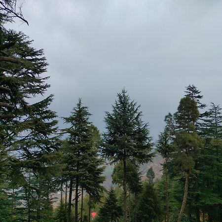 The Alpine Vista Hotel Almora Exterior foto