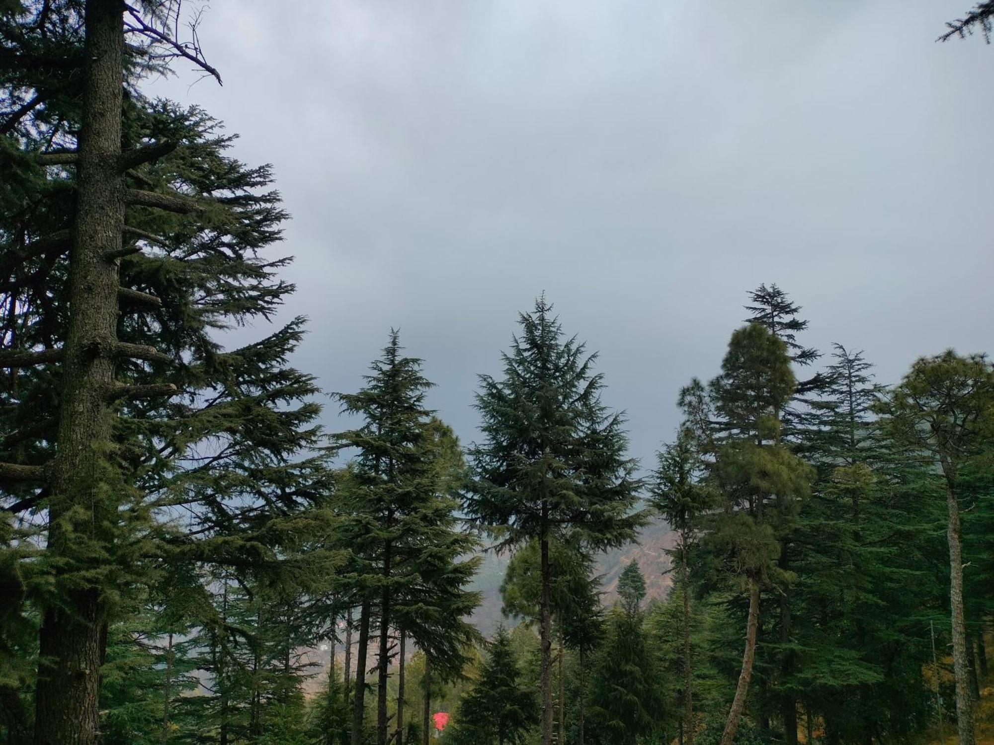 The Alpine Vista Hotel Almora Exterior foto